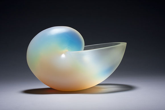 Nautilus - white opalescent